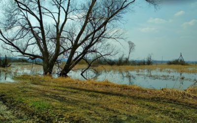 B.C. Funds Planning, Prep Work for Ag Emergencies