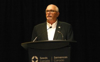 Why Value Chain Support is Key for Seeds Canada