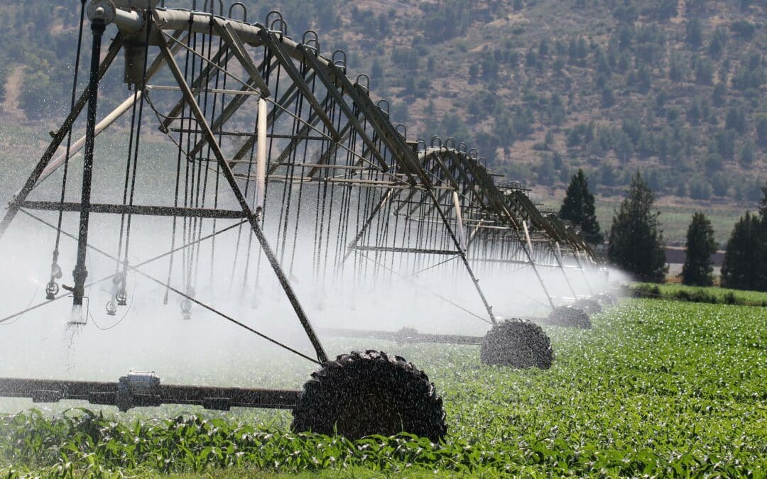 Irrigation Stewardship Can Help Fight Droughts