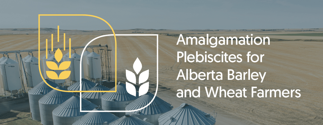 Alberta Wheat, Barley Farmers Vote in Favour of Amalgamation
