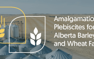 Voting Opens for Alberta Wheat, Barley Merger
