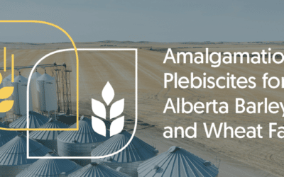 Alberta Wheat, Barley Farmers Vote in Favour of Amalgamation