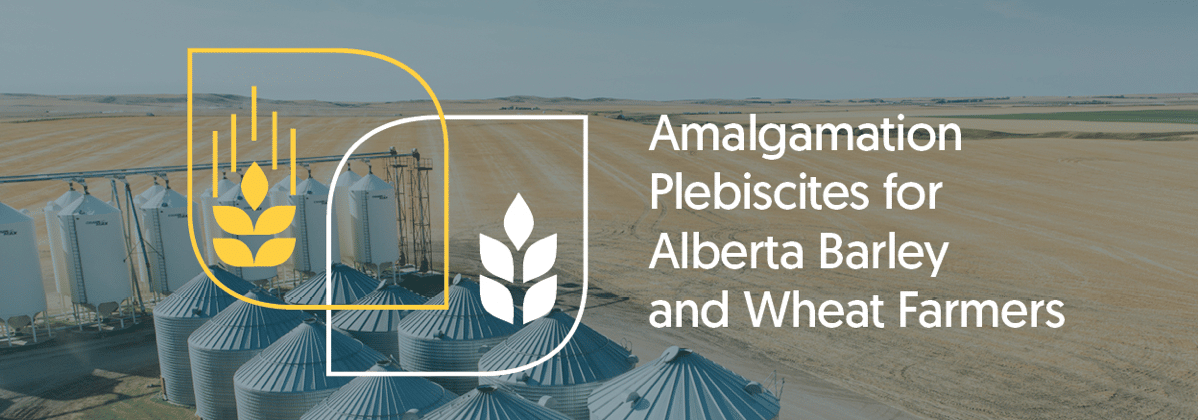 Alberta Wheat and Barley merger vote