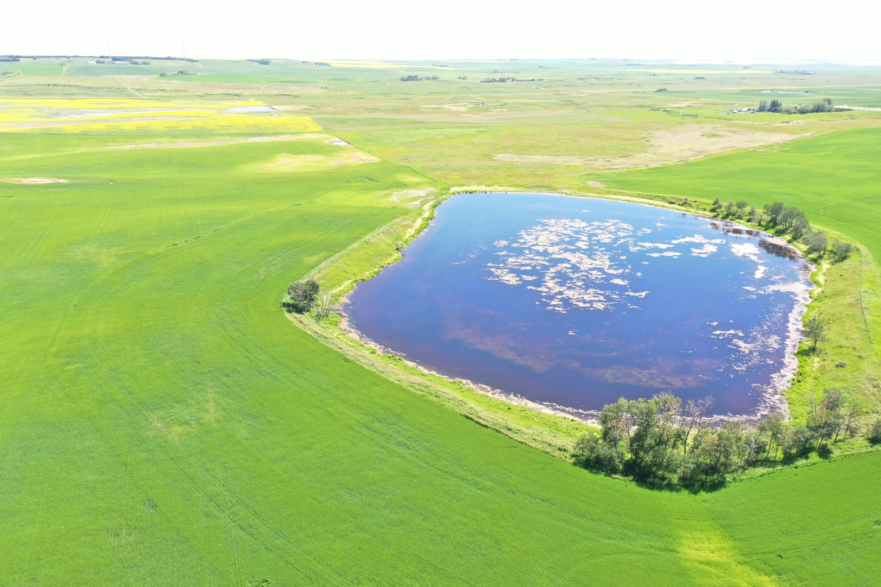 Alberta wetlands