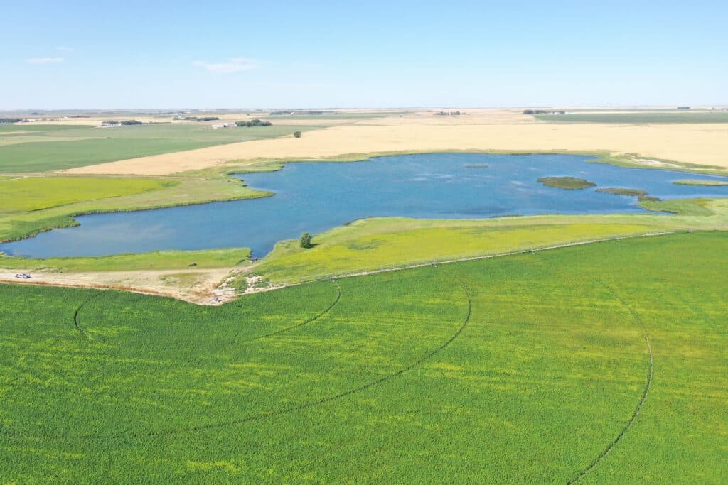 Alberta wetlands adjacent to agricultural land