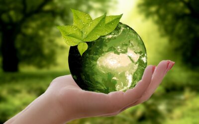 Do Consumers Really Understand Sustainability?
