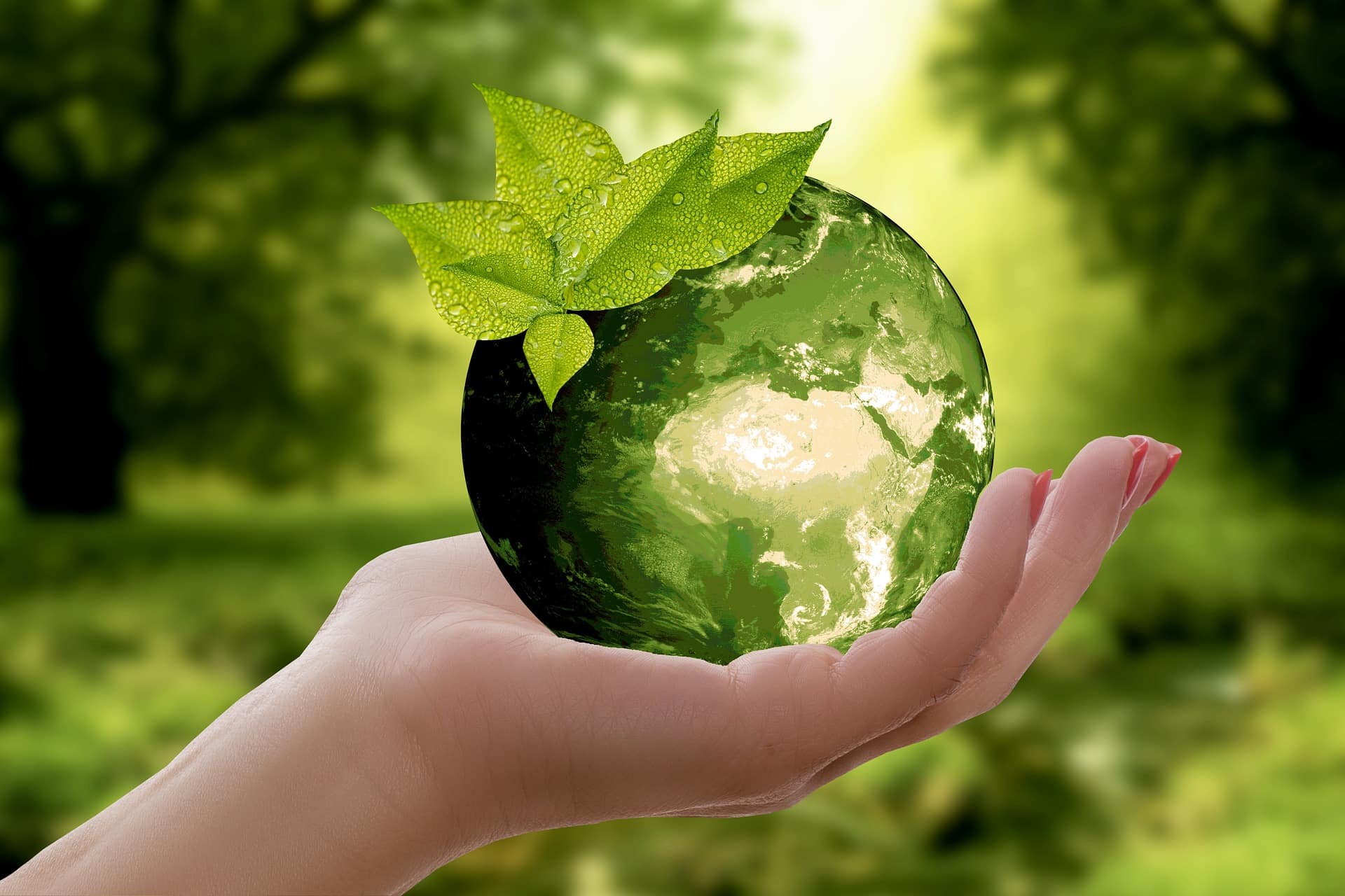 Hand holding green globe