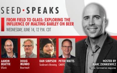 Barley Unveiled: Learn About Beer’s Core Ingredient