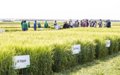 Funding Future Crop Varieties for Alberta Farmers