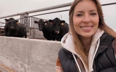 Supplementing Cattle Diets with Canola Seed Pellets