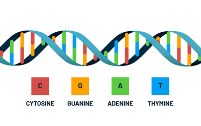 Solving Soil’s Microscopic Mysteries: Introduction to Metagenomics