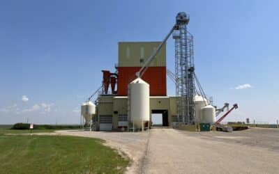 Upgrading the Mountain View Seed Cleaning Plant in a Pandemic