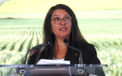 Grain Farmers Caught in Crossfire as U.S.-China Trade War Escalates