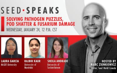 Solving Pathogen Puzzles, Pod Shatter and Fusarium Damage