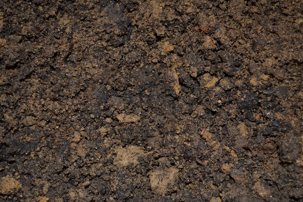 Strong Soil Moisture Gives Alberta Crops a Boost Despite Slow Northern ...