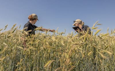 Experience the Next Wave: Vision to Variety – Inside FP Genetics’ R&D Team