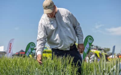 Supporting Growers with Knowledge, Innovation and Genetics
