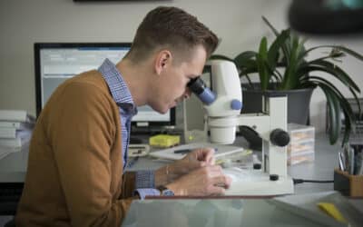 Why We Need to Talk More About Vigour Testing — And Less About Size