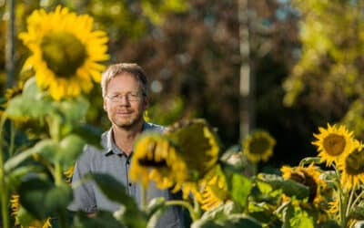 This B.C. Scientist Just Blew the Lid Off Sunflower Genetics — Farmers, Take Note