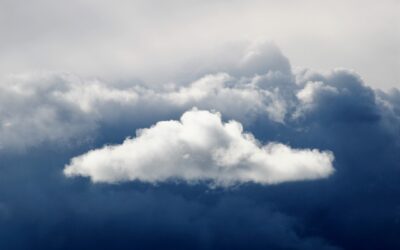 Rain Brings a Turnaround: Seeding Progresses Despite Early Hiccups